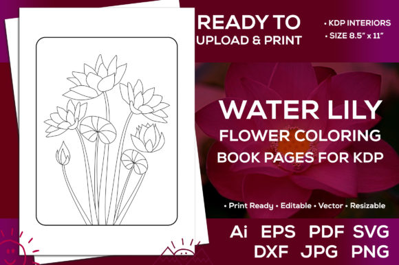 Water Lily Flowers Coloring Book Pages: A Designer’s Honest Review